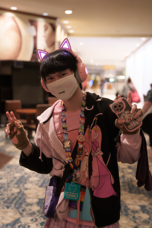 PFF Cat Ears Headphones